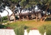 Blair House Inn - Cottages