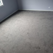 Gallery Image Number 6