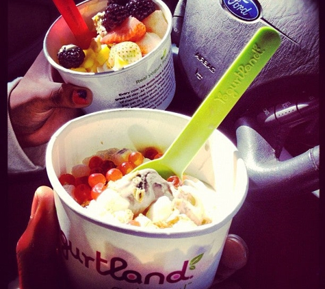 YogurtLand - Artesia, CA