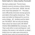 Lumberjack Tree Experts