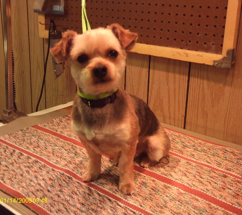 Pampered Pet Parlor - Ilion, NY