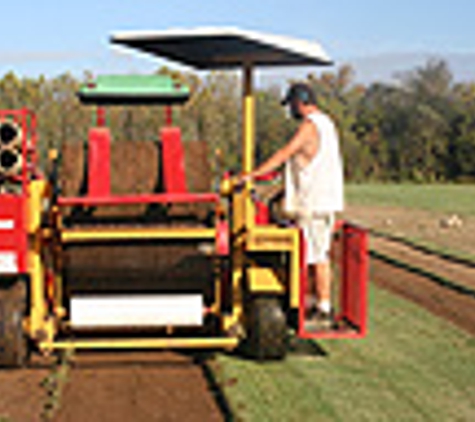 T & R Sod Farms - Lexington, AL