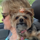 Pampered Pets of Jefferson County - Pet Grooming