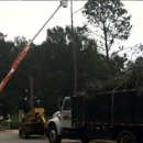 Southern Tree Services Inc - Tree Service