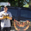 Phoenix Pest Management & Wildlife Control - Pest Control Services