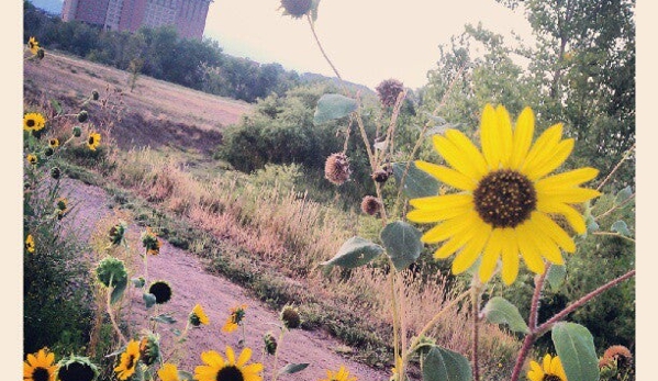 City Park Recreation Center - Westminster, CO