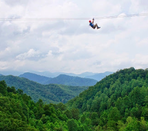 Navitat Canopy Adventures - Barnardsville, NC