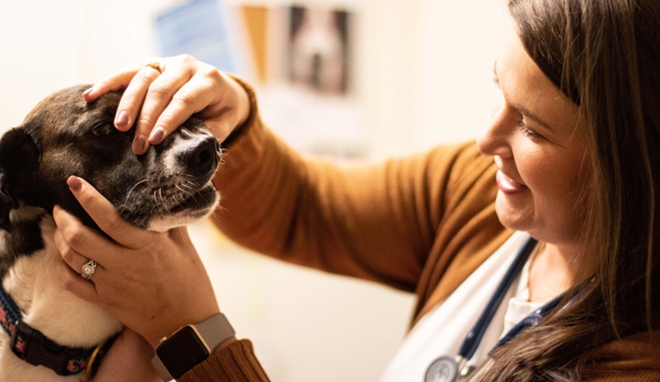 TotalBond Veterinary Hospital at Bethel - Lake Wylie, SC