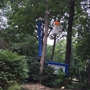 Gatorback Tree Service