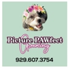 Picture PAWfect gallery