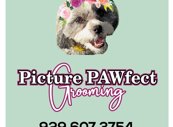 Picture PAWfect - Staten Island, NY