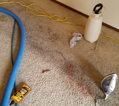 Johns Carpet Cleaning - Portage, WI. Before