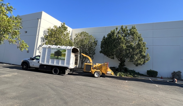 Ed's Tree Services - San Bernardino, CA