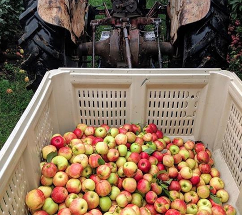 Ten Eyck Orchard - Brodhead, WI