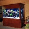 ReefXperts gallery