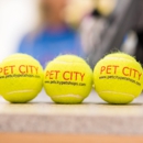 Pet City - Pet Stores