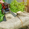 Alberto's Tree Service gallery