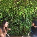 Green Engine Coffee - Coffee & Espresso Restaurants