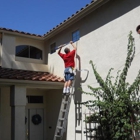 Clear Window Washing