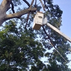 L-Bolt Professional Tree Service Co