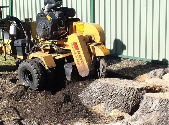 Coastal Stump Worx - Umina Beach, NSW