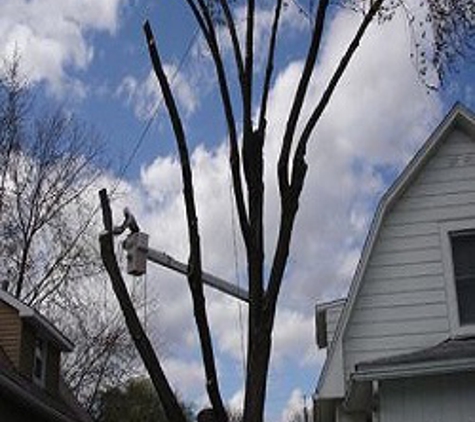 Planetary Tree Service - Evansdale, IA