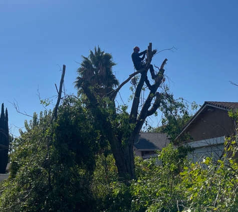 Spartan Tree Service - San Jose, CA