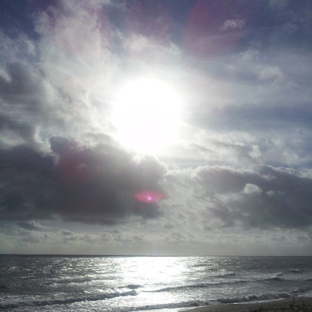 Happy Healthy Human Cafe - Indian Harbour Beach, FL