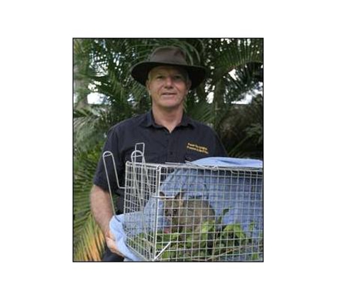Peter The Possum & Birdman Pty Ltd - Newmarket, QLD