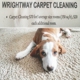 Wrightway carpet & upholstery cleaning