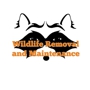 Wildlife Removal and Maintenance