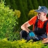Kings Tree Service & Landscaping gallery