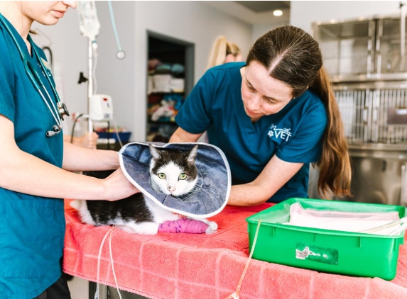 Merewether Veterinary Hospital - Merewether, NSW