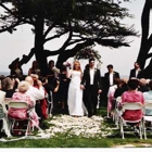 A Bayside Wedding
