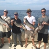 Fin-Lander Sport Fishing Charters gallery