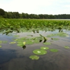 Boat House On Swartswood Lake gallery