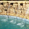 Southern Splash Pools, Inc. gallery