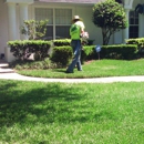 Mr. Tree and Lawn Service LLC - Tree Service