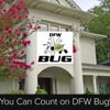 Dfw Bug gallery