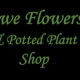 Awe Flowers & Potted Plant Shop