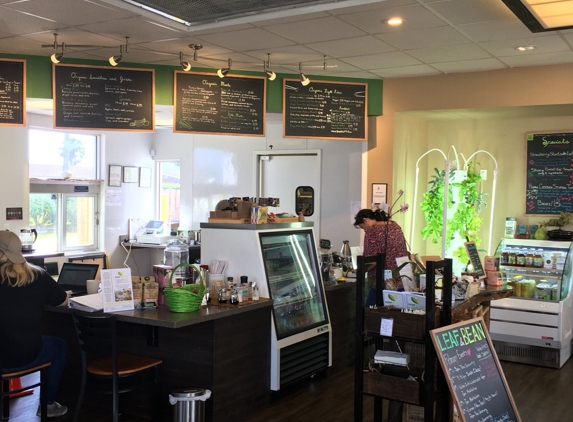 House of Leaf & Bean - Jacksonville Beach, FL