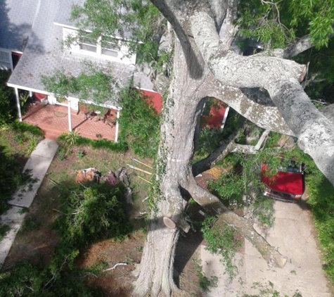 All Around Tree Specialists LLC - Cape Coral, FL