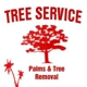 Tree Service Palms & Tree Removal