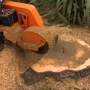 Dj's Stump Grinding