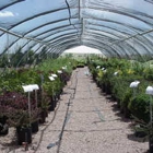 Homestake Nursery & Landscape Materials