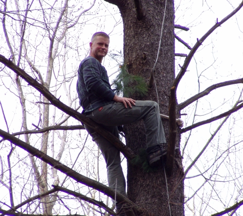 JC's Tree Services - Mount Pocono, PA