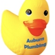 Auburn Plumbing