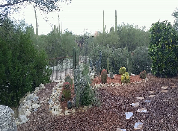 Acme Irrigation Company LLC - Tucson, AZ