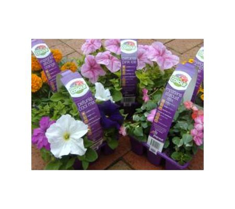 Gill's Nursery - Cheltenham, VIC