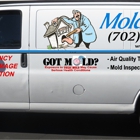 Mold Doctor
